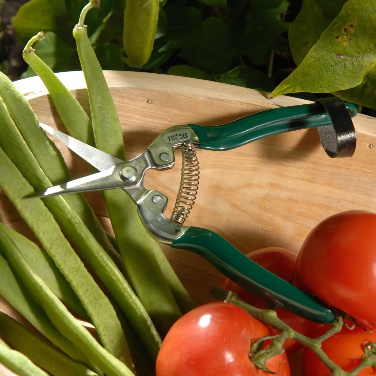 BURGON & BALL BLOEMEN EN FRUITSCHAAR