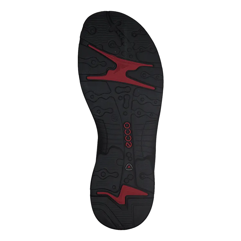 ECCO schoenen Offroad Atmosphere/ Ice W./ Black